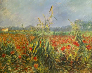 Green Corn Stalks
